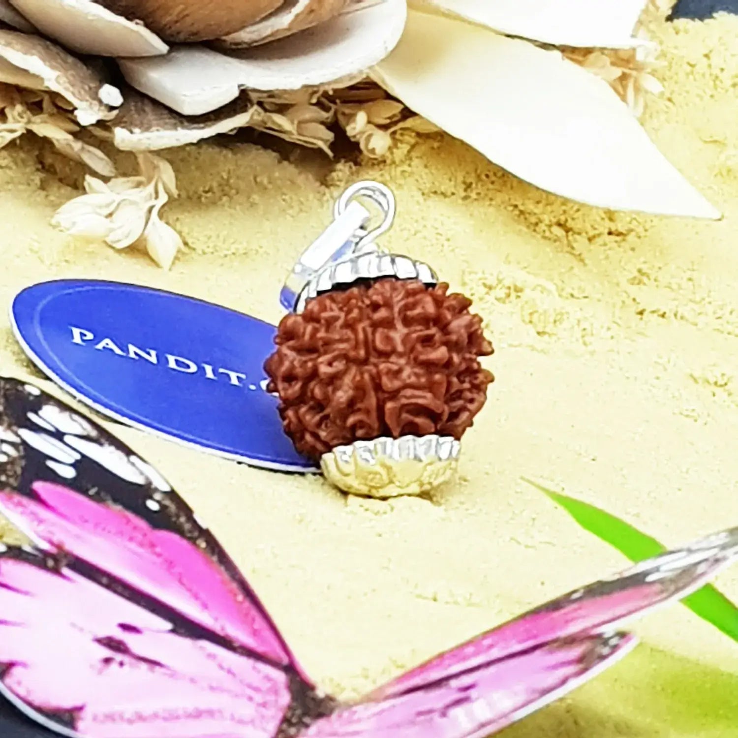 Nine Mukhi Premium Rare Rudraksha — main bead view showing mukhi (faces)