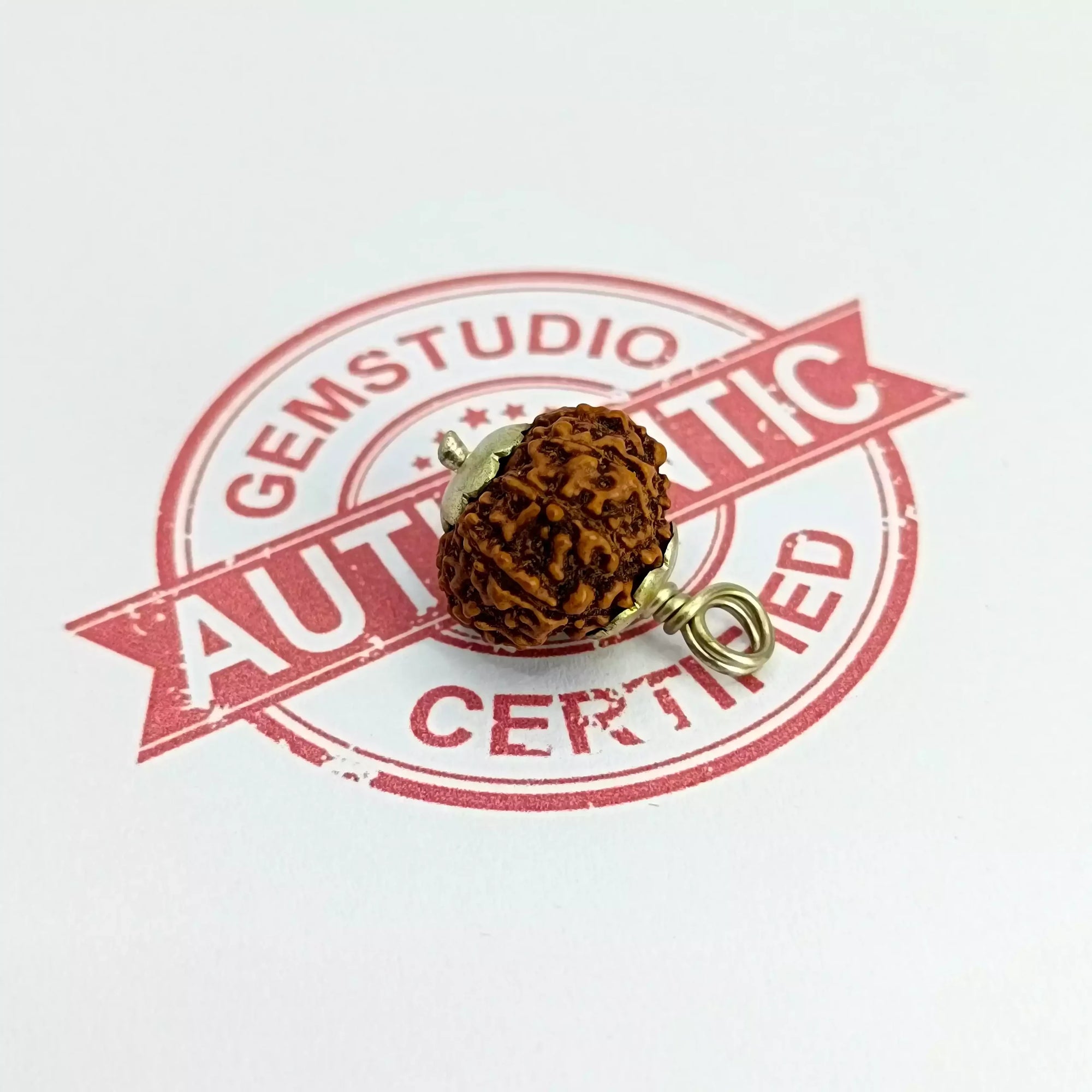 9 Mukhi Rudraksha – Indonesia