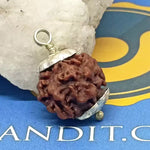 Nirakar Premium Rare Rudraksha — main bead view showing mukhi (faces)