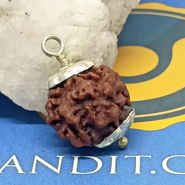 Nirakar Premium Rare Rudraksha — main bead view showing mukhi (faces)