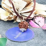 Nirakar Premium Rare Rudraksha — close-up macro showing surface texture and natural lines