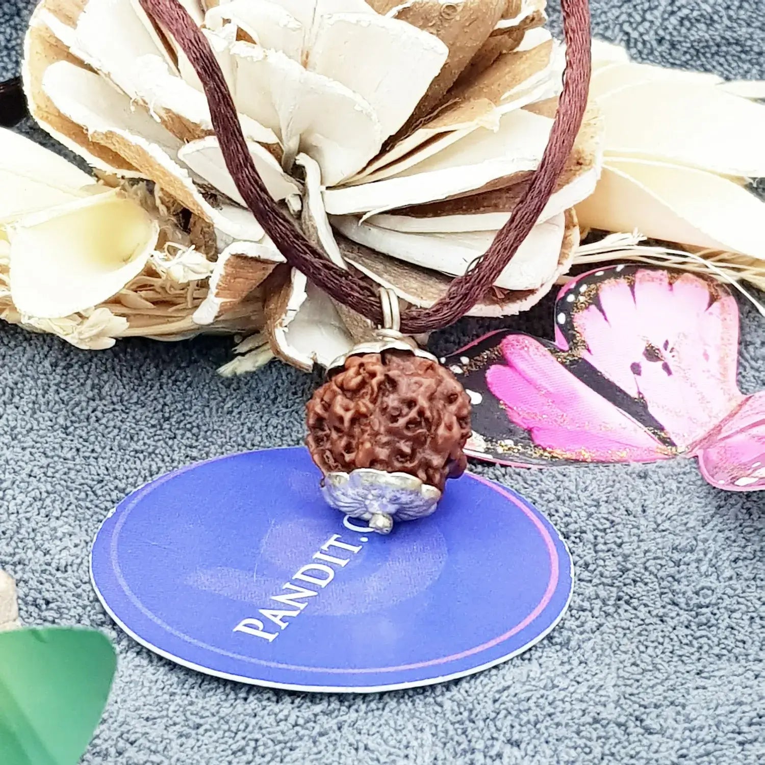 Nirakar Premium Rare Rudraksha — close-up macro showing surface texture and natural lines
