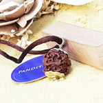 Nirakar Premium Rare Rudraksha — main bead view showing mukhi (faces)