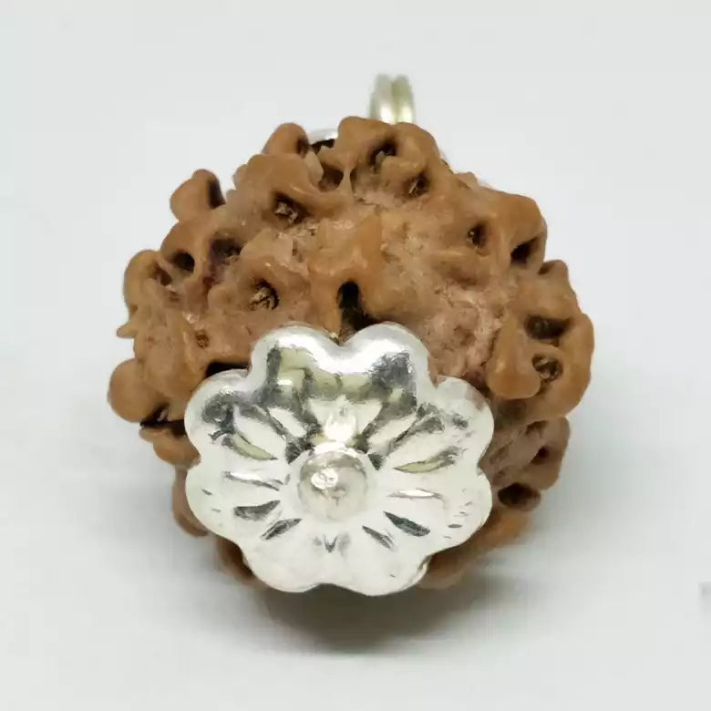 Nirakar Premium Rare Rudraksha — close-up macro showing surface texture and natural lines