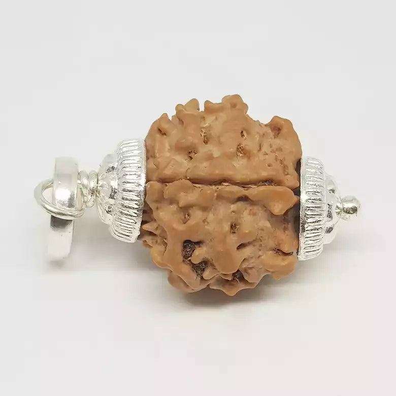 One Mukhi Premium Rare Rudraksha — main bead view showing mukhi (faces)