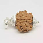 One Mukhi Premium Rare Rudraksha — main bead view showing mukhi (faces)