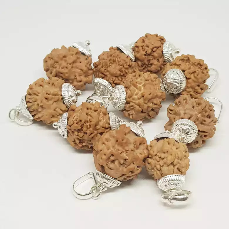 One Mukhi Premium Rare Rudraksha — close-up macro showing surface texture and natural lines
