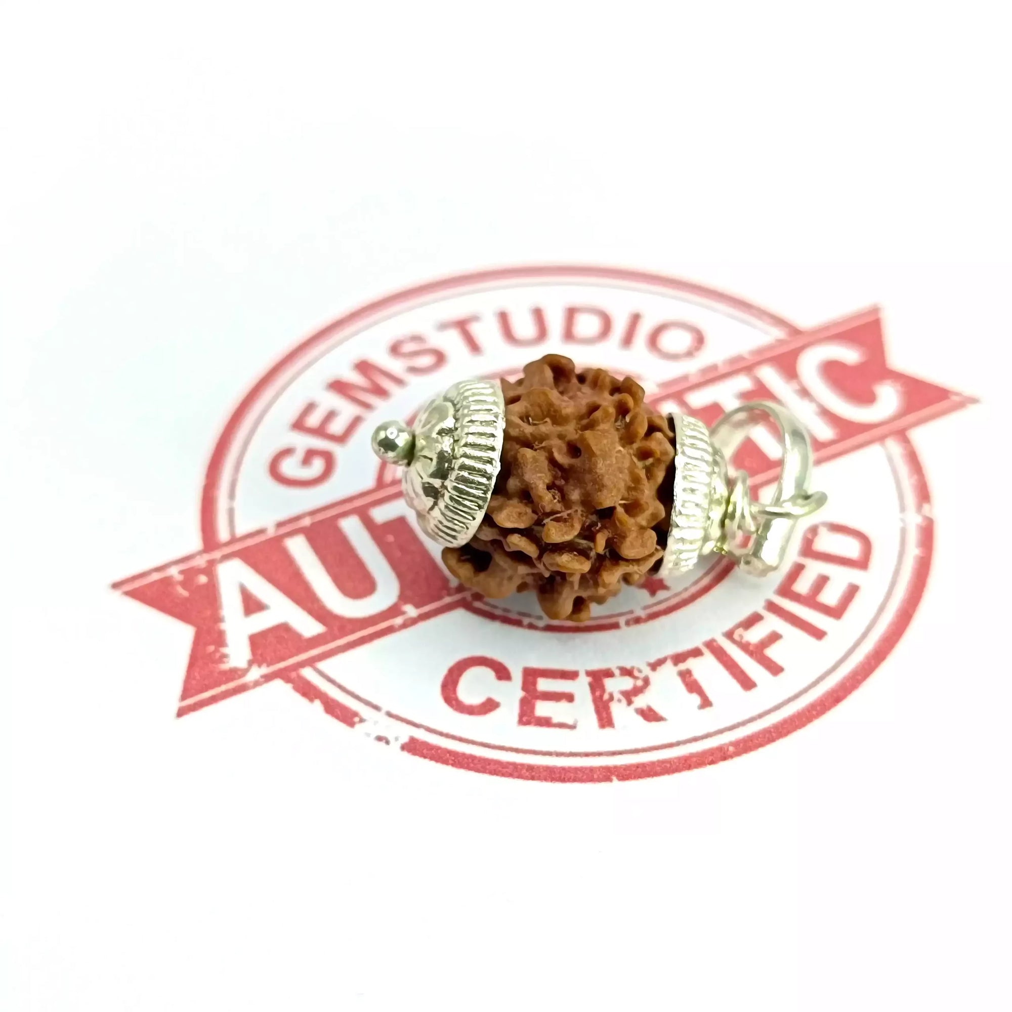 One Mukhi Premium Rare Rudraksha — bead worn on red thread