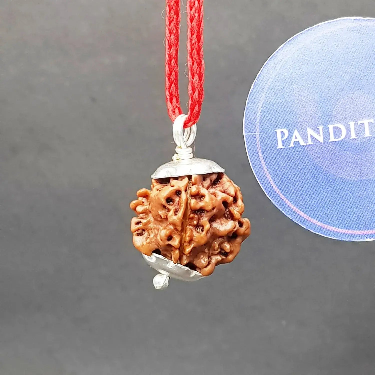 One Mukhi Premium Rare Rudraksha — bead size reference