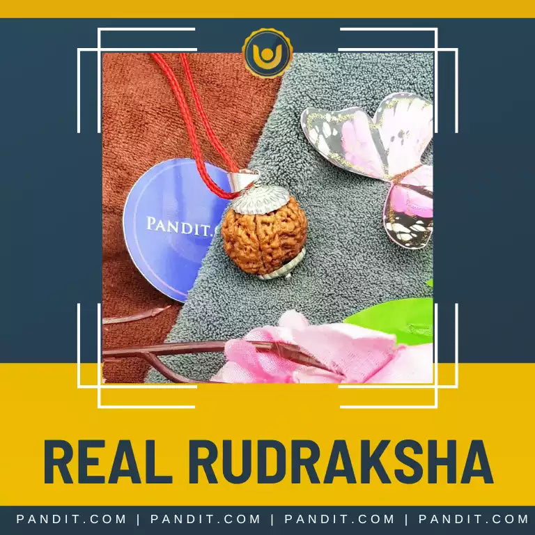 Real Rudraksha Collections Page