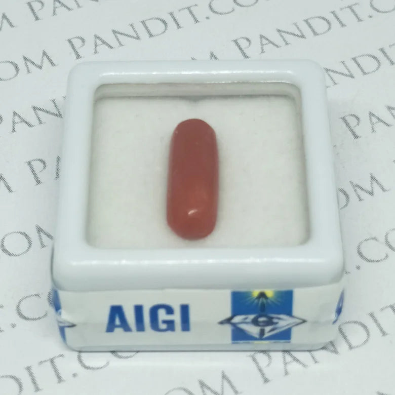 Red Coral (Moonga) Gemstone For Material Gains - Main Image