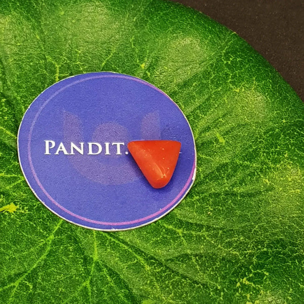 Red Coral Gemstone