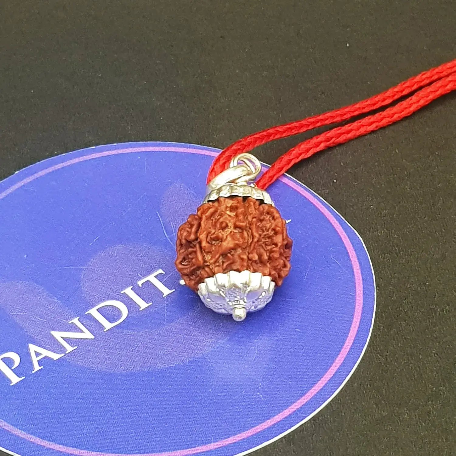 Seven Mukhi Premium Rare Rudraksha — bead size reference
