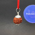 Seven Mukhi Premium Rare Rudraksha — authenticity certificate and lab report