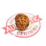 7 Faced Rudraksha – Nepal