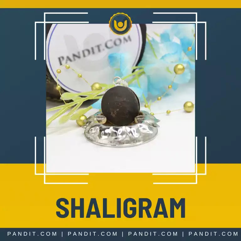 Shaligram Collections Page