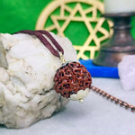 Six Mukhi Premium Rare Rudraksha — packaging back showing wearing instructions