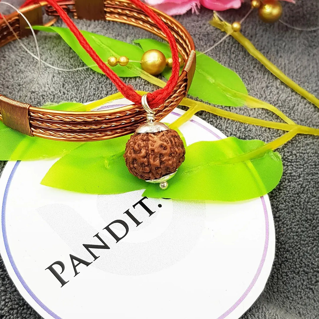 6 मुखी रुद्राक्ष - इंडोनेशिया