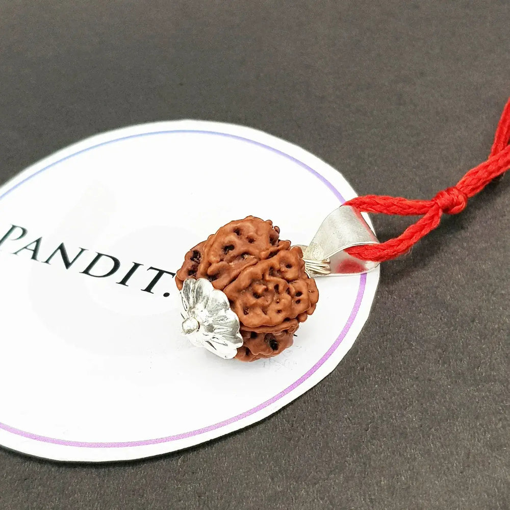 6 Faced Nepal Rudraksha