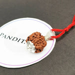 6 Faced Nepal Rudraksha
