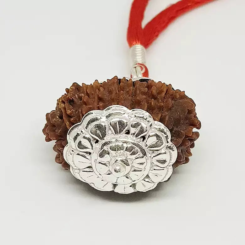 16 Faced Rudraksha — bead worn on red thread
