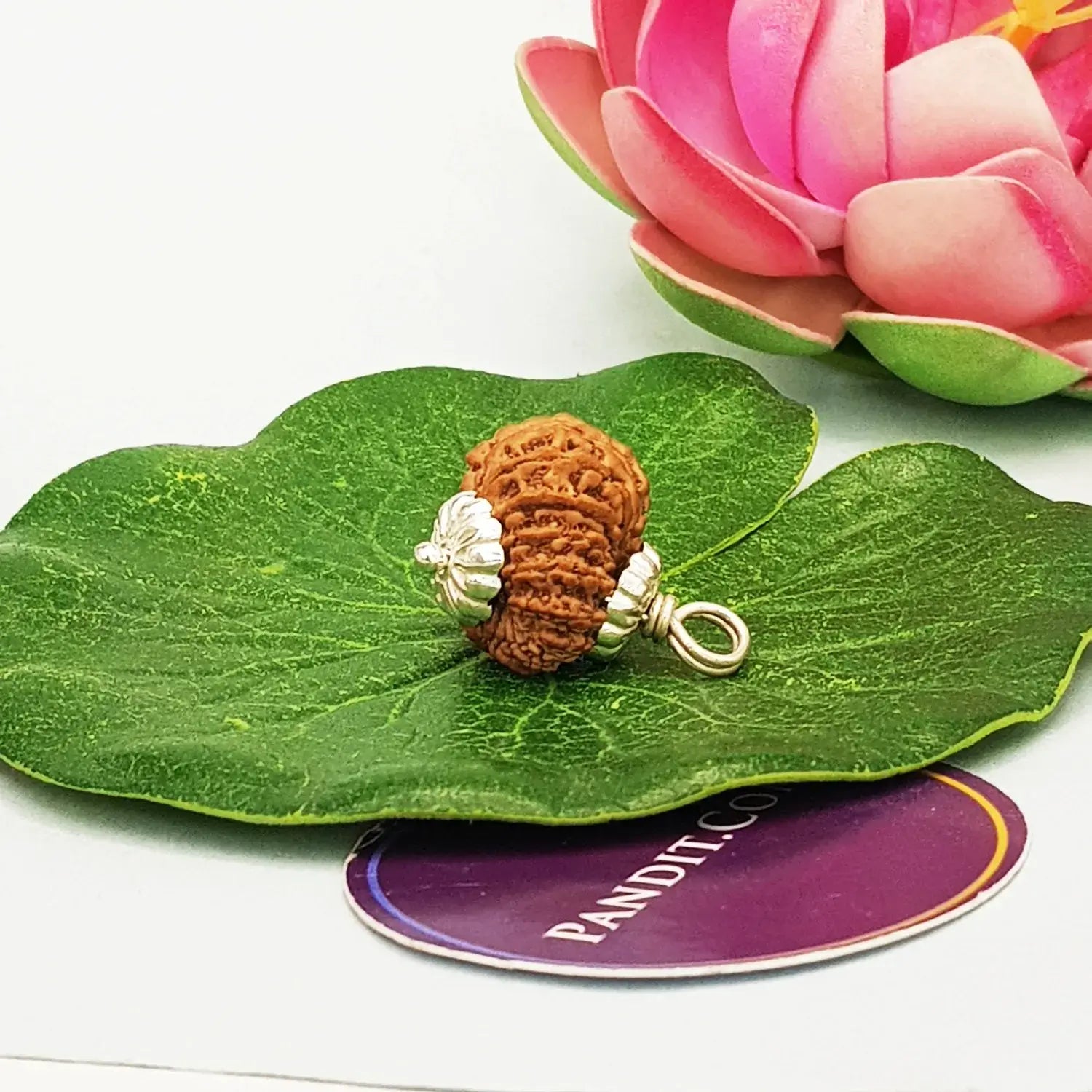 16 Faced Nepal Rudraksha