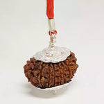 16 Faced Rudraksha — packaging back showing wearing instructions