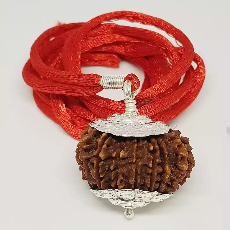 16 Faced Rudraksha — main bead view showing mukhi (faces)