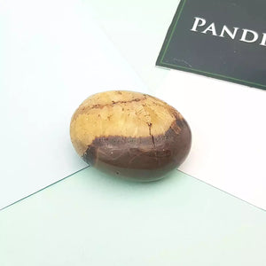 Spotted Jasper Healing Crystal Palm Stone