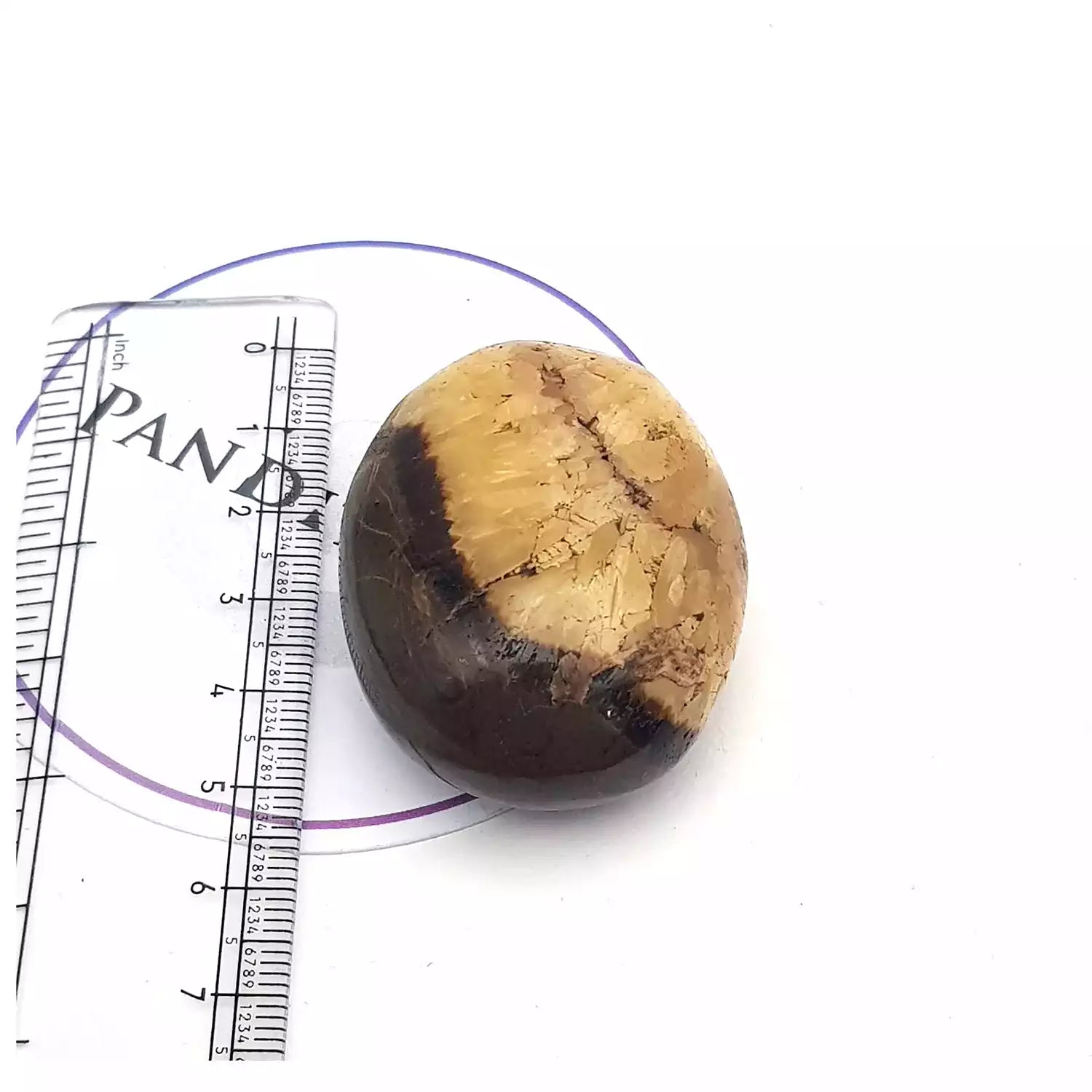 Spotted Jasper Healing Crystal Palm Stone