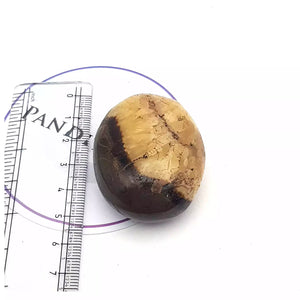 Spotted Jasper Healing Crystal Palm Stone