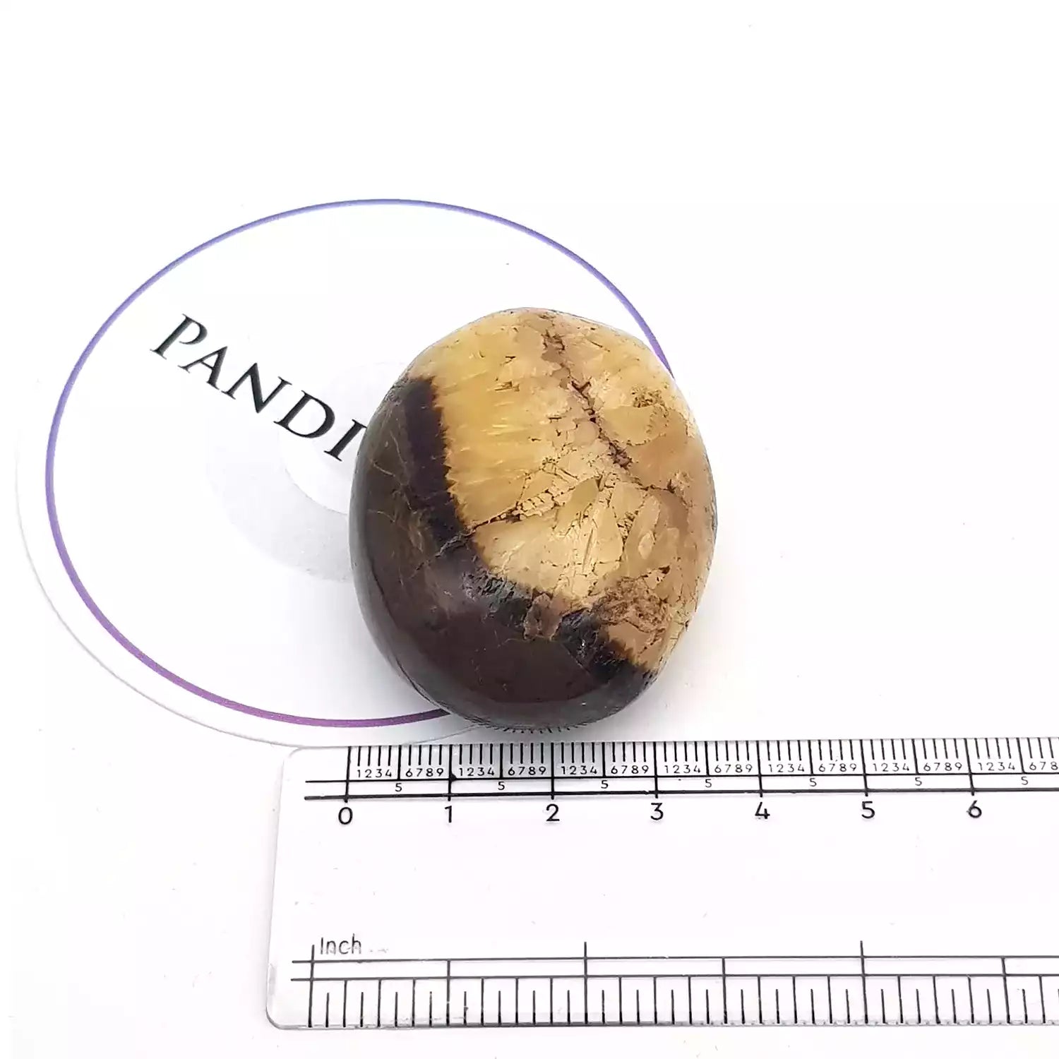 Spotted Jasper Healing Crystal Palm Stone