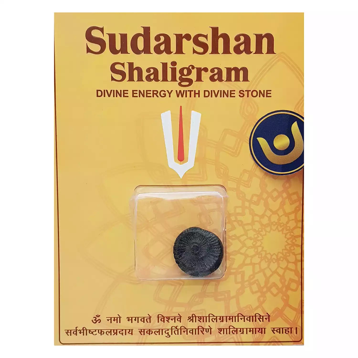 Sudarshan Shaligram Without Pendant