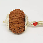 10 Faced Rudraksha — close-up macro showing surface texture and natural lines