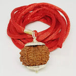 10 Faced Rudraksha — authenticity certificate and lab report