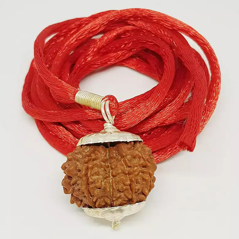 10 Faced Rudraksha — authenticity certificate and lab report