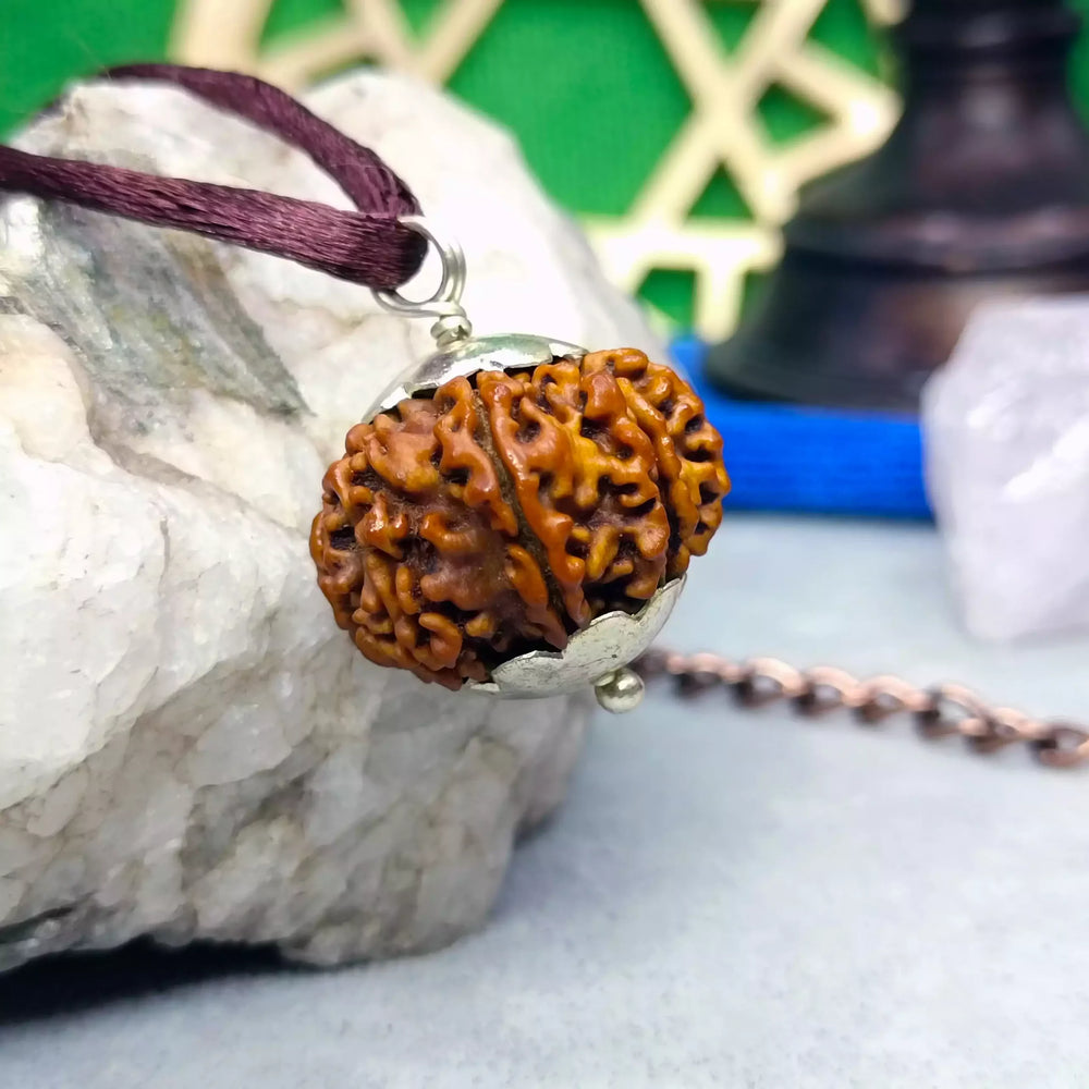 Ten Mukhi Premium Rare Rudraksha — main bead view showing mukhi (faces)