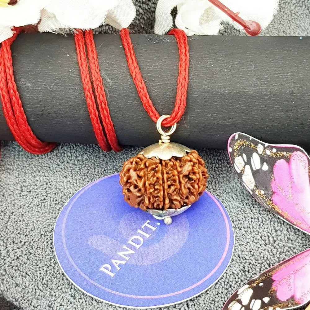 Ten Mukhi Premium Rare Rudraksha — close-up macro showing surface texture and natural lines