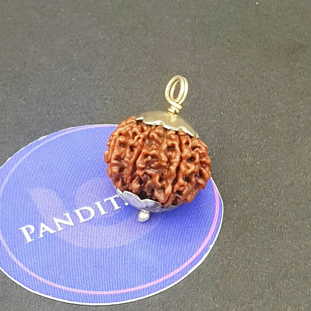 Ten Mukhi Premium Rare Rudraksha — authenticity certificate and lab report