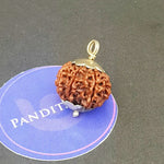 Ten Mukhi Premium Rare Rudraksha — authenticity certificate and lab report