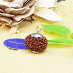 Ten Mukhi Premium Rare Rudraksha — main bead view showing mukhi (faces)