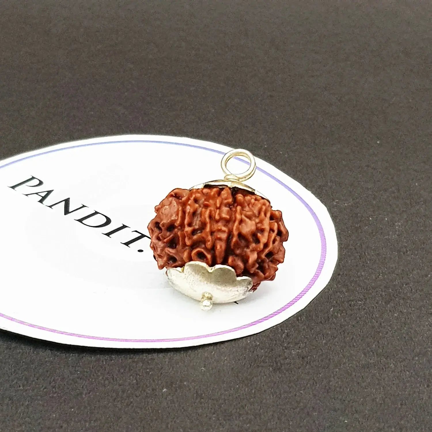 10 Faced Nepal Rudraksha