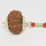 13 Faced Rudraksha — packaging back showing wearing instructions