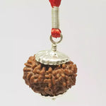 13 Faced Rudraksha — bead size reference