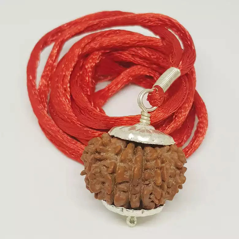 13 Faced Rudraksha — close-up macro showing surface texture and natural lines