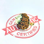 Thirteen Mukhi Premium Rare Rudraksha — packaging back showing wearing instructions