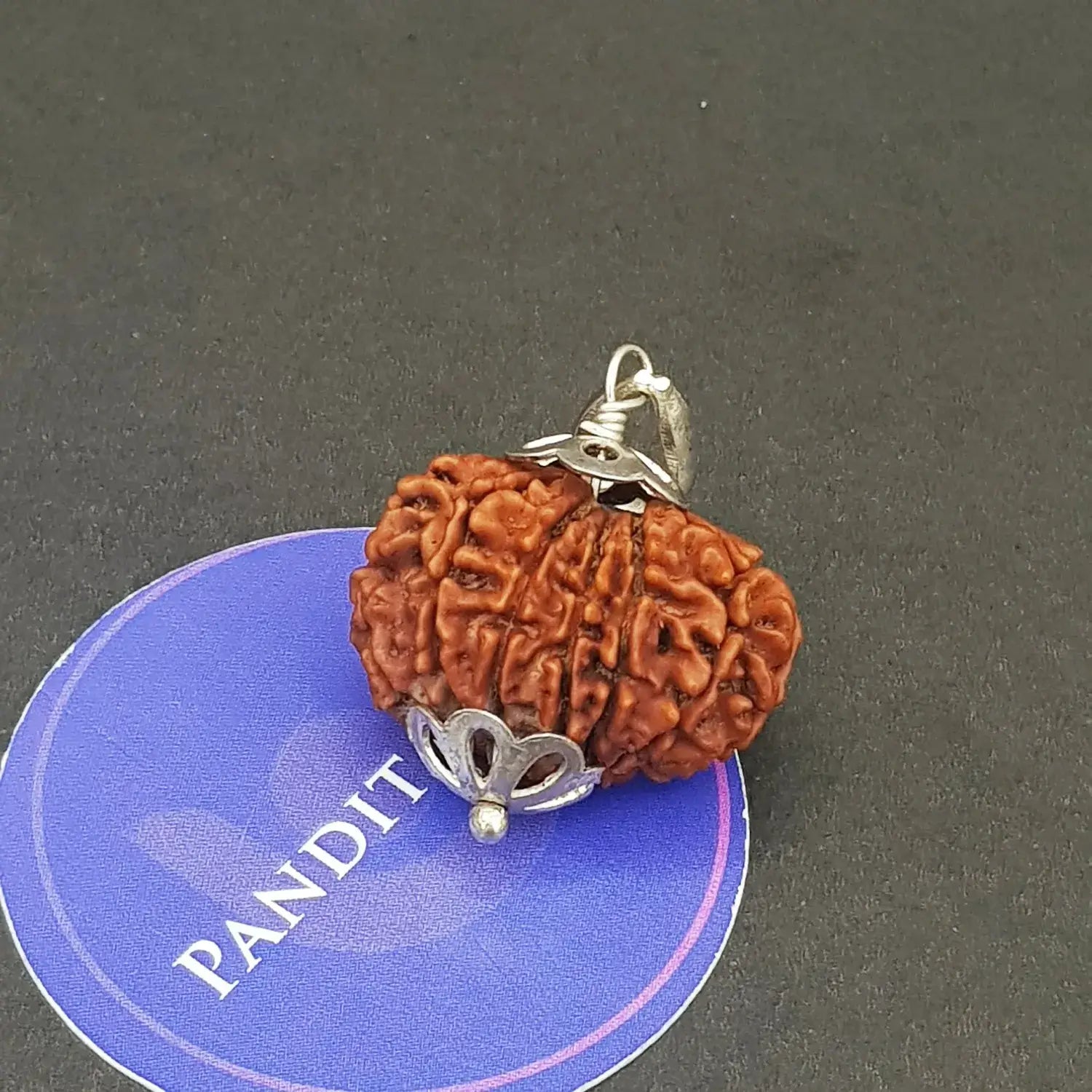 Thirteen Mukhi Premium Rare Rudraksha — authenticity certificate and lab report