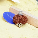 Thirteen Mukhi Premium Rare Rudraksha — close-up macro showing surface texture and natural lines
