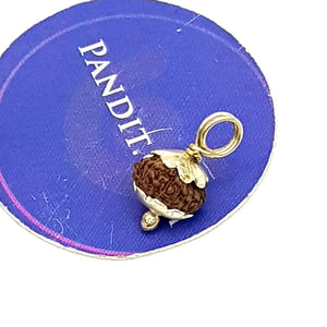 Thirteen Mukhi Rudraksha Indonesia