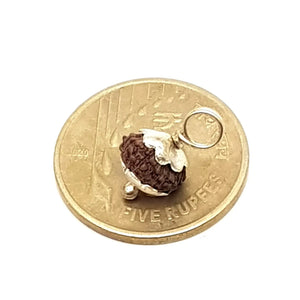 Thirteen Mukhi Rudraksha Indonesia